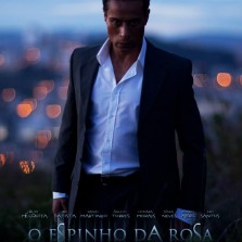 O ESPINHO DA ROSA (2013)
