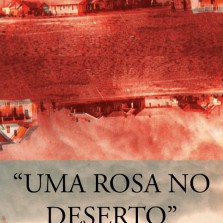 UMA ROSA NO DESERTO (2011)